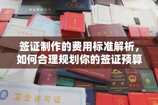 义县签证制作的费用标准解析，如何合理规划你的签证预算